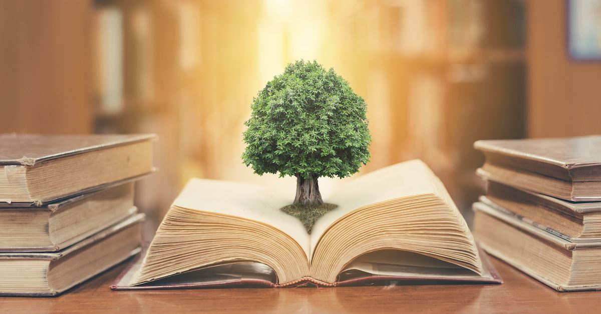 https://doraemonj.github.io/pics/education_system.jpg https://doraemonj.github.io/pics/education_system.jpg